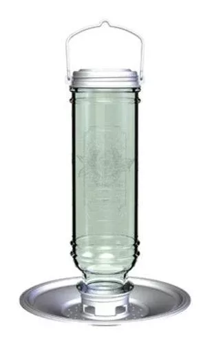 More Birds 28 Songbird Vintage Glass Tube Bird Feeder 1.5 Lbs Capacity