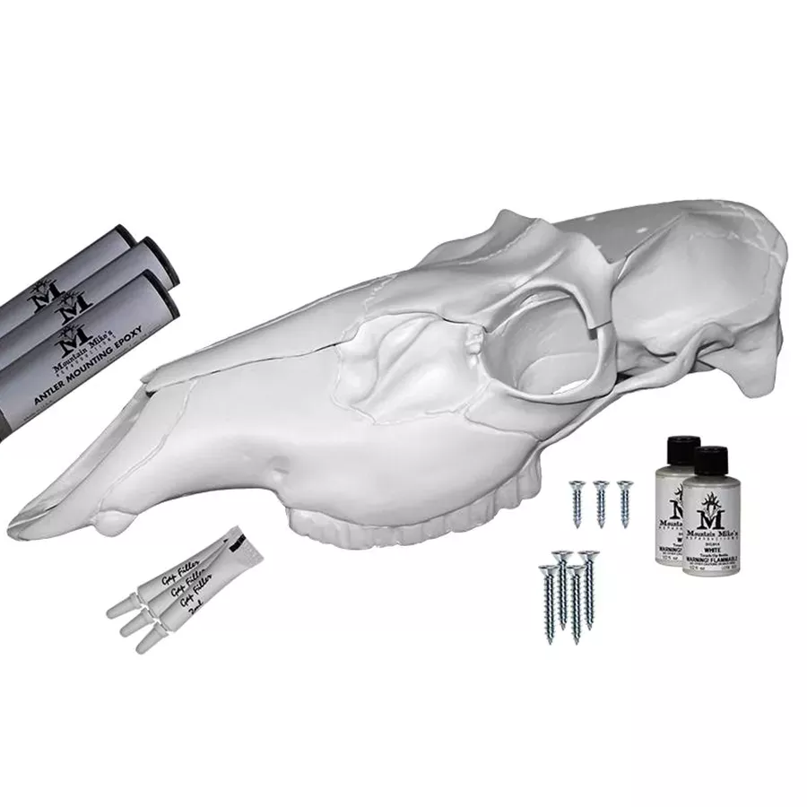 Mountain Mike's Elk Skull Record Keeper Mount
