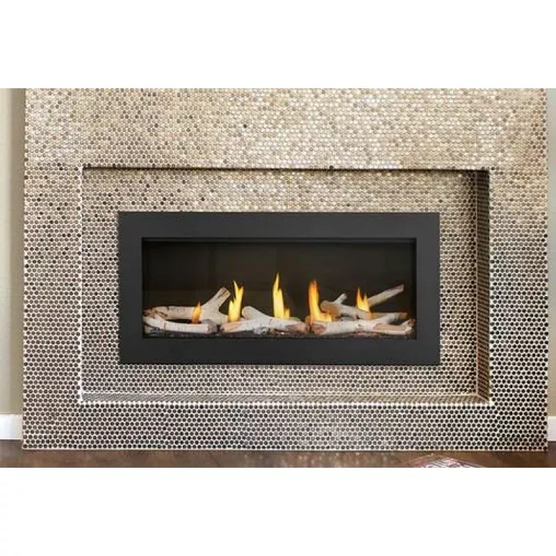 Napoleon Acies 38 Linear Direct-Vent Gas Fireplace – L38N