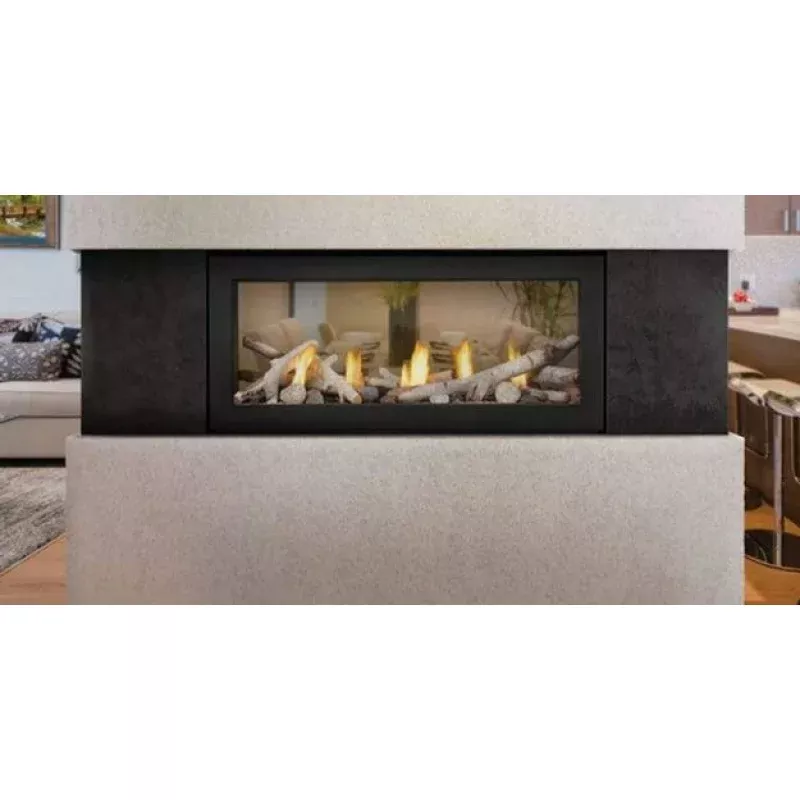 Napoleon Acies 38 See Thru Linear Direct Vent Gas Fireplace L38N-2
