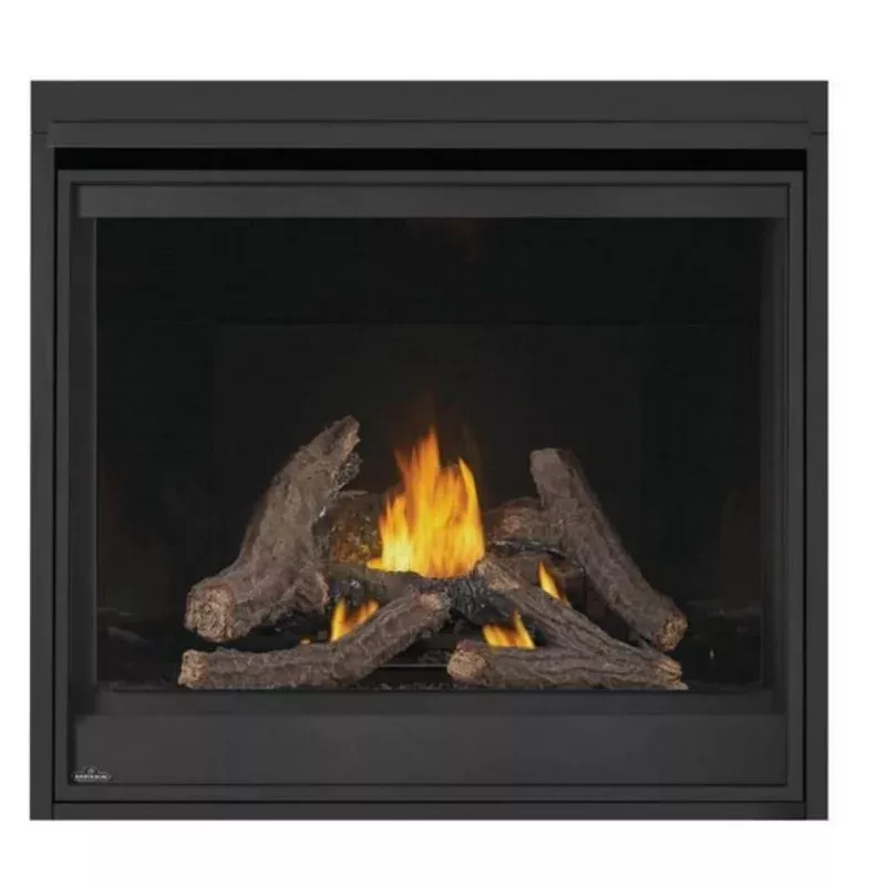 Napoleon Ascent Deep 42 Direct Vent Propane Gas Fireplace D42PTRE