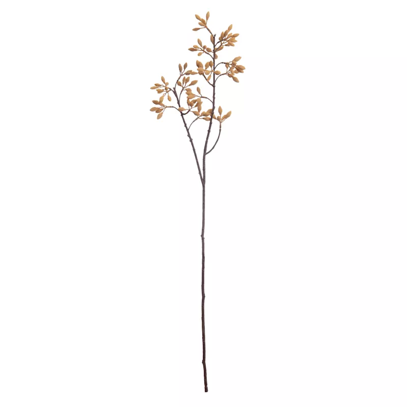 Natural Firmiana Simplex Spray, 30"