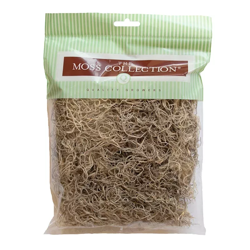 Natural Spanish Moss, Small