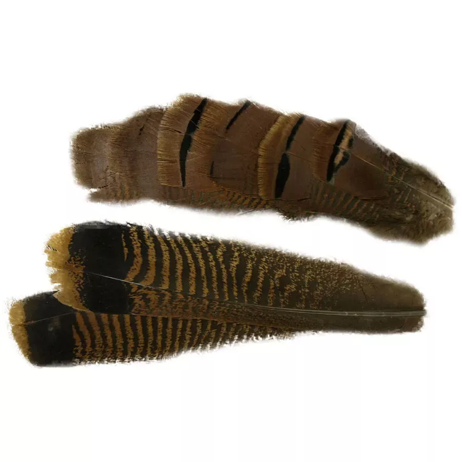 Nature's Spirit Mottled Cinnamon Turkey Tail