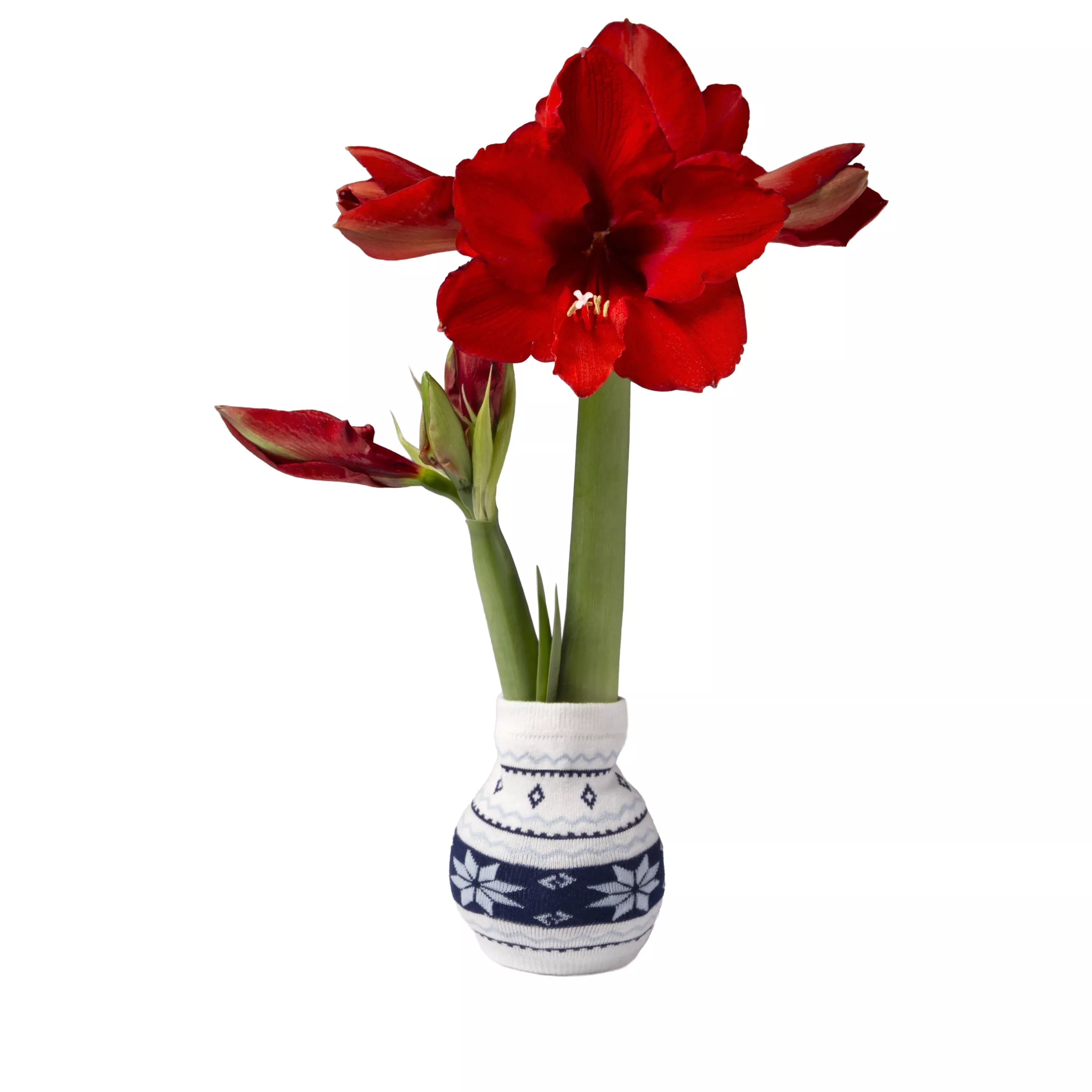 Nordic Sweater Blue Garden Bulb