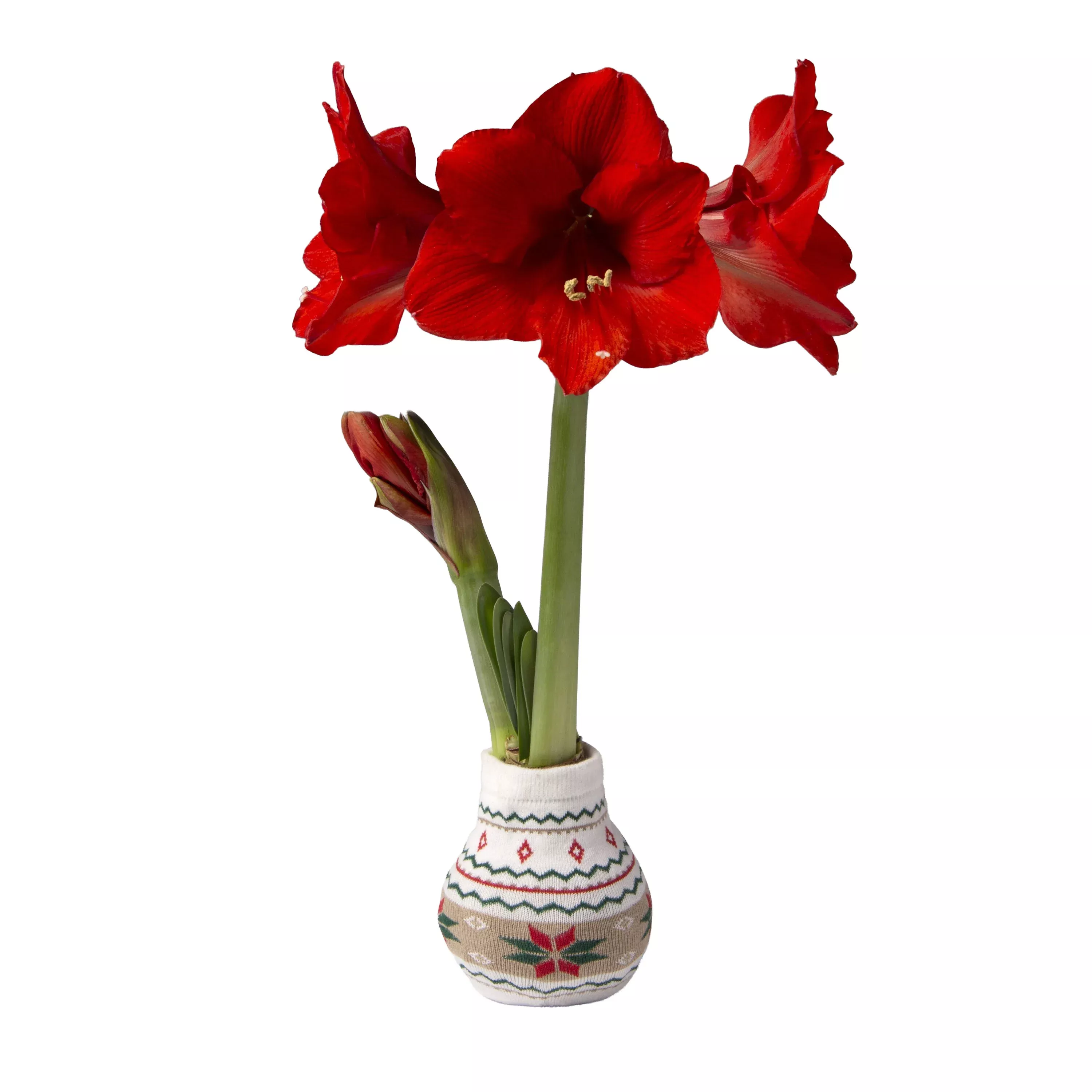 Nordic Sweater Red & Green Garden Bulb