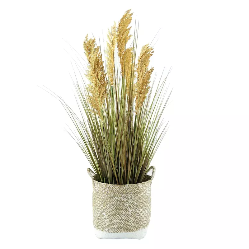 Onion Grass in Woven Basket, 38.5"