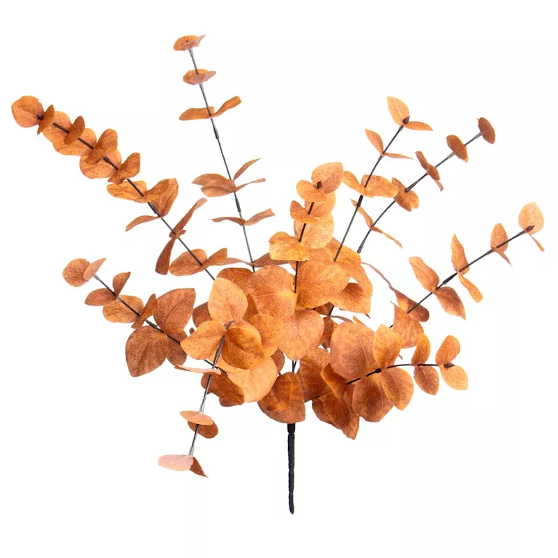 Orange Eucalyptus Stem, 21.5"