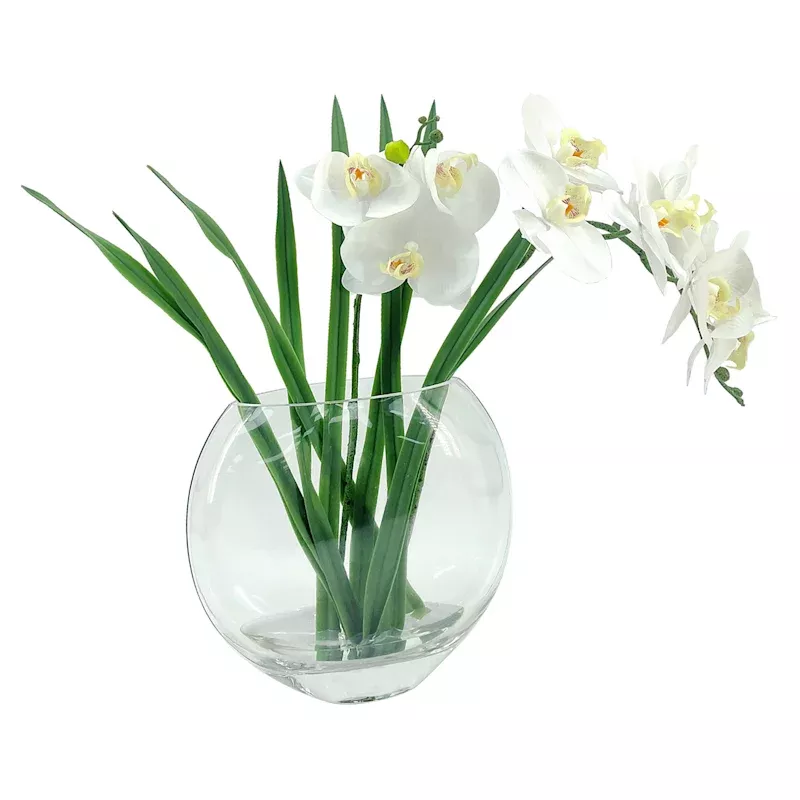 Orchid with Glass Vessel, 15"