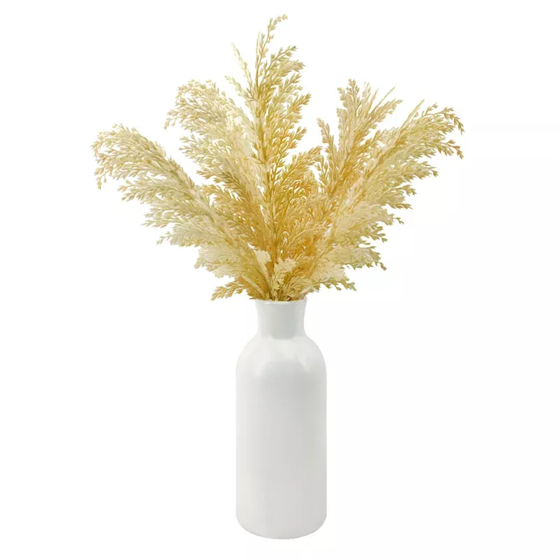 Pampas Grass in Ceramic Pot, 20"