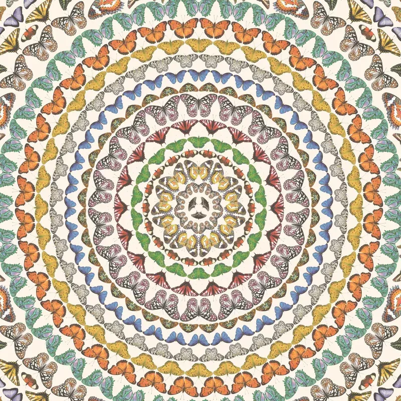 Papilion Wallpaper