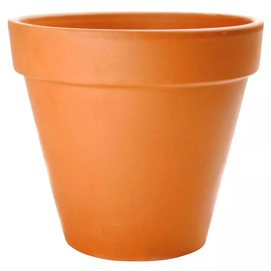 Pennington 8" Terra Cotta Clay Pot