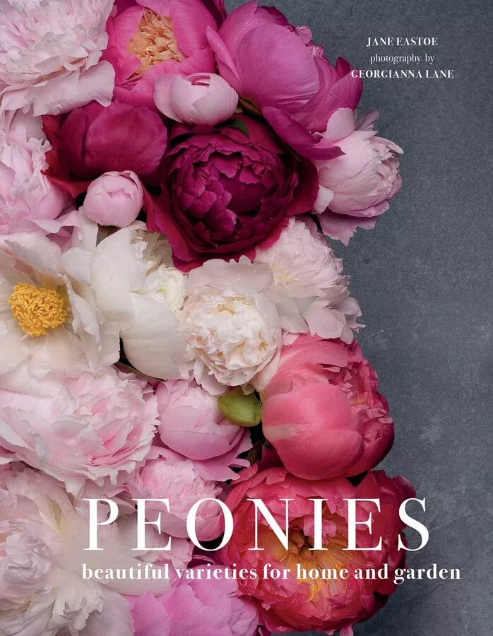 Peonies by Jane Eastoe