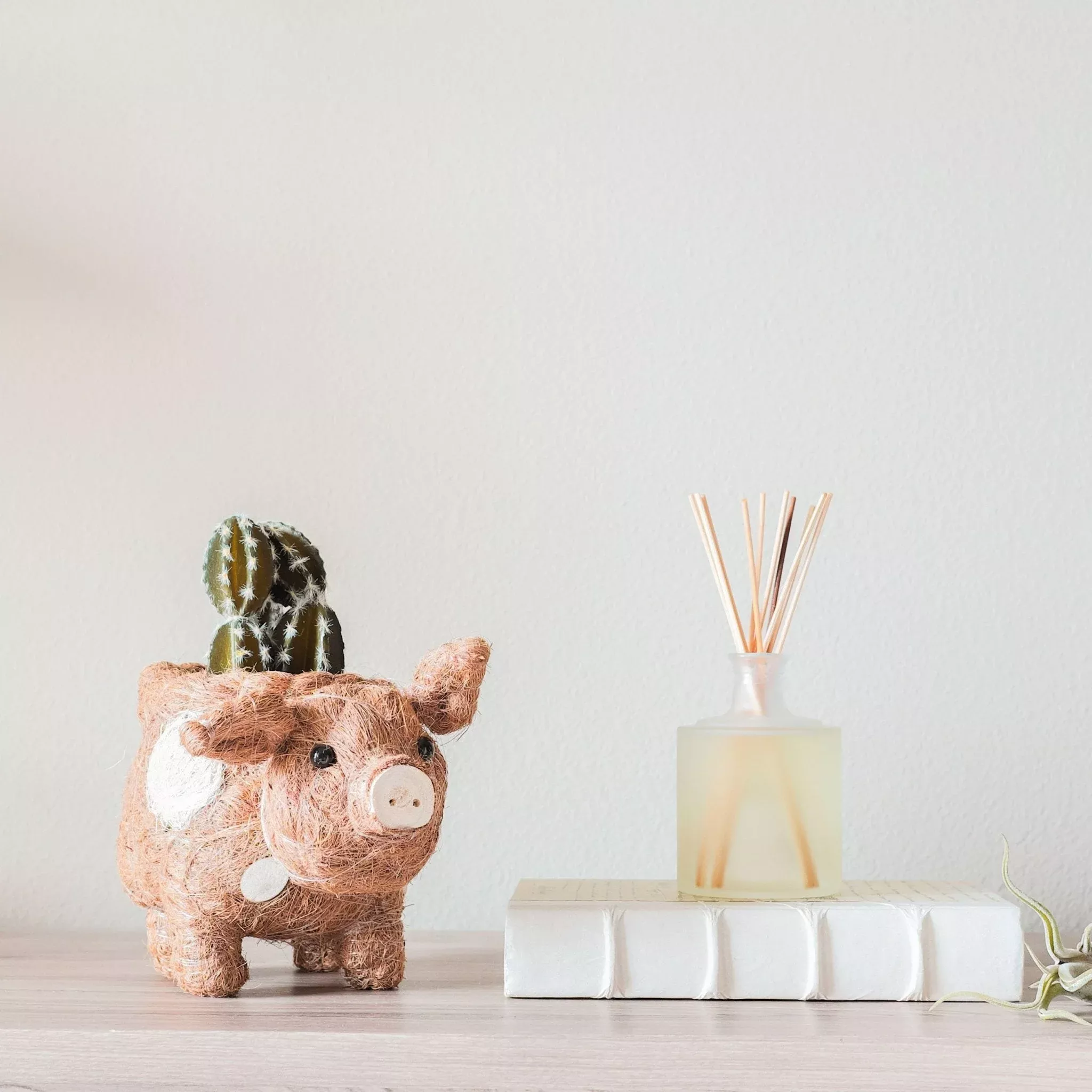 Pig Planter - Coco Coir Pots | LIKHÂ