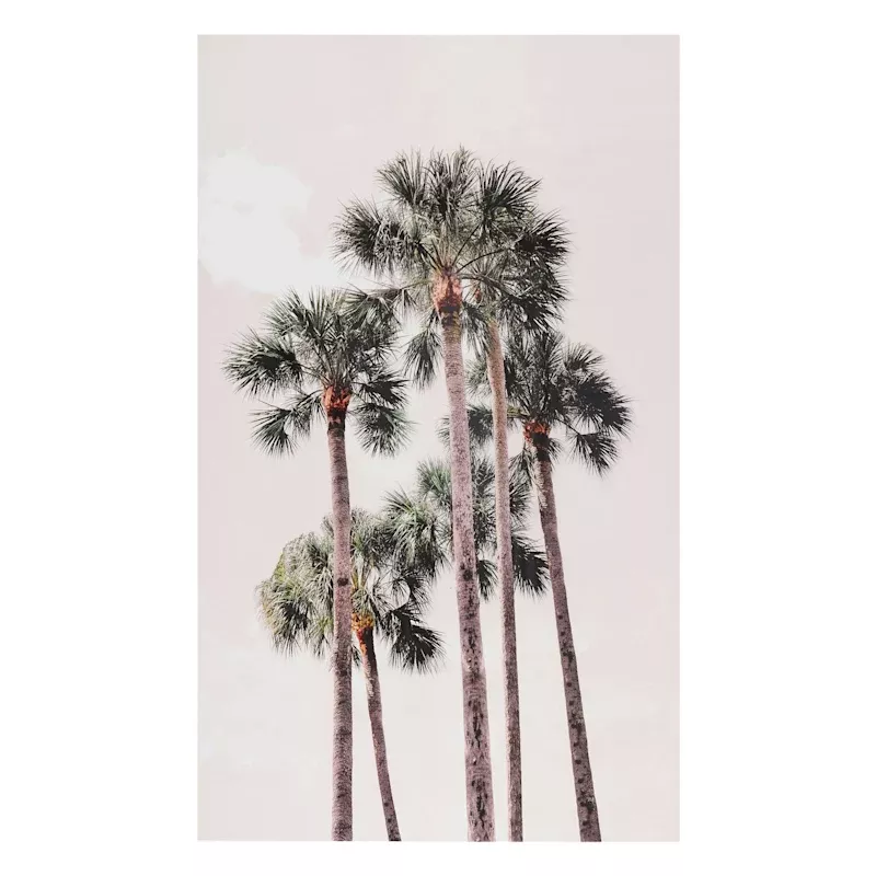 Pink Tropics Glass Coat Canvas Wall Art, 36x60