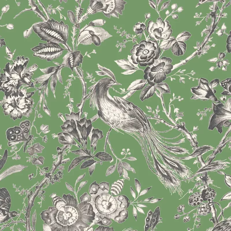 Plumage Jade Wallpaper