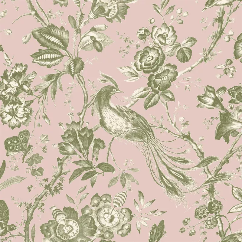 Plumage Plaster Pink/Cream Wallpaper
