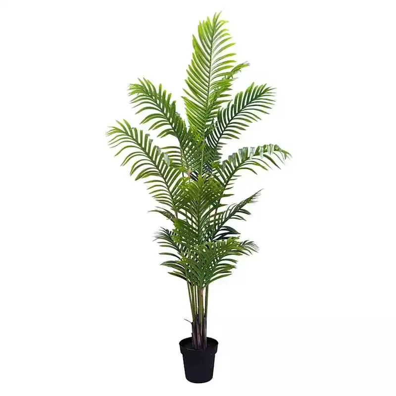 Potted Areca Palm Plant, 6'