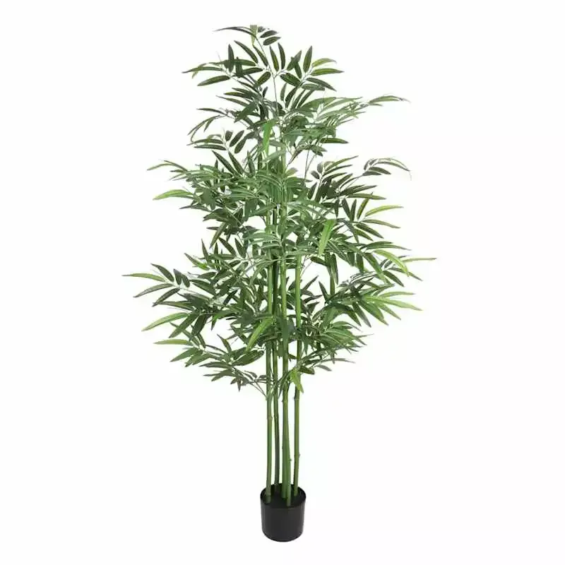 Potted Bamboo Tree, 6'