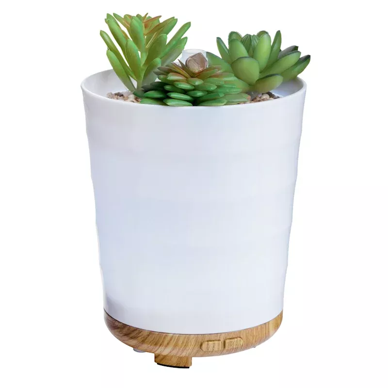 Potted Succulent Oil Diffuser