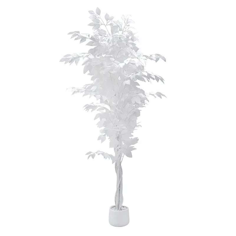 Potted White Fiscus Tree, 6'