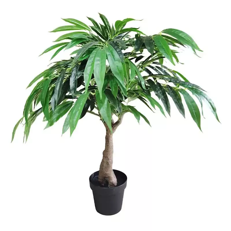 Potted Willow Tree, 3'