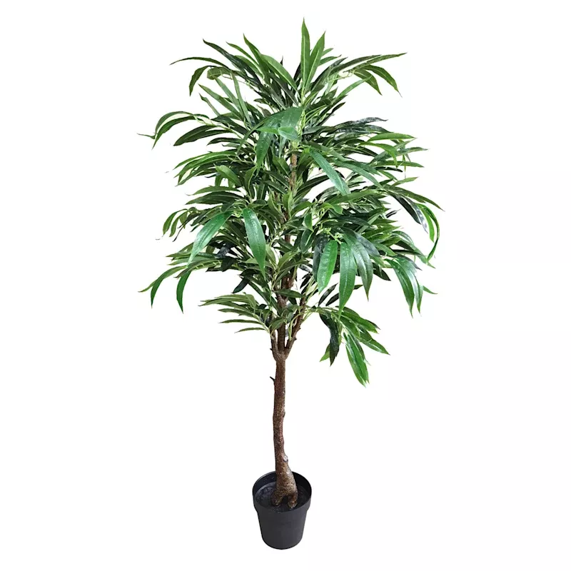 Potted Willow Tree, 5'