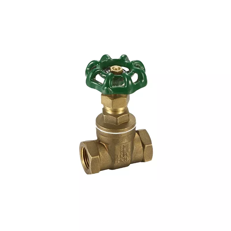 Promax Gate Valve 80mm
