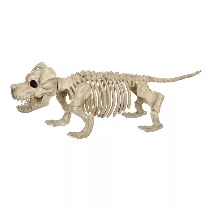 Puppy Bonez Halloween Decor, 15.25"