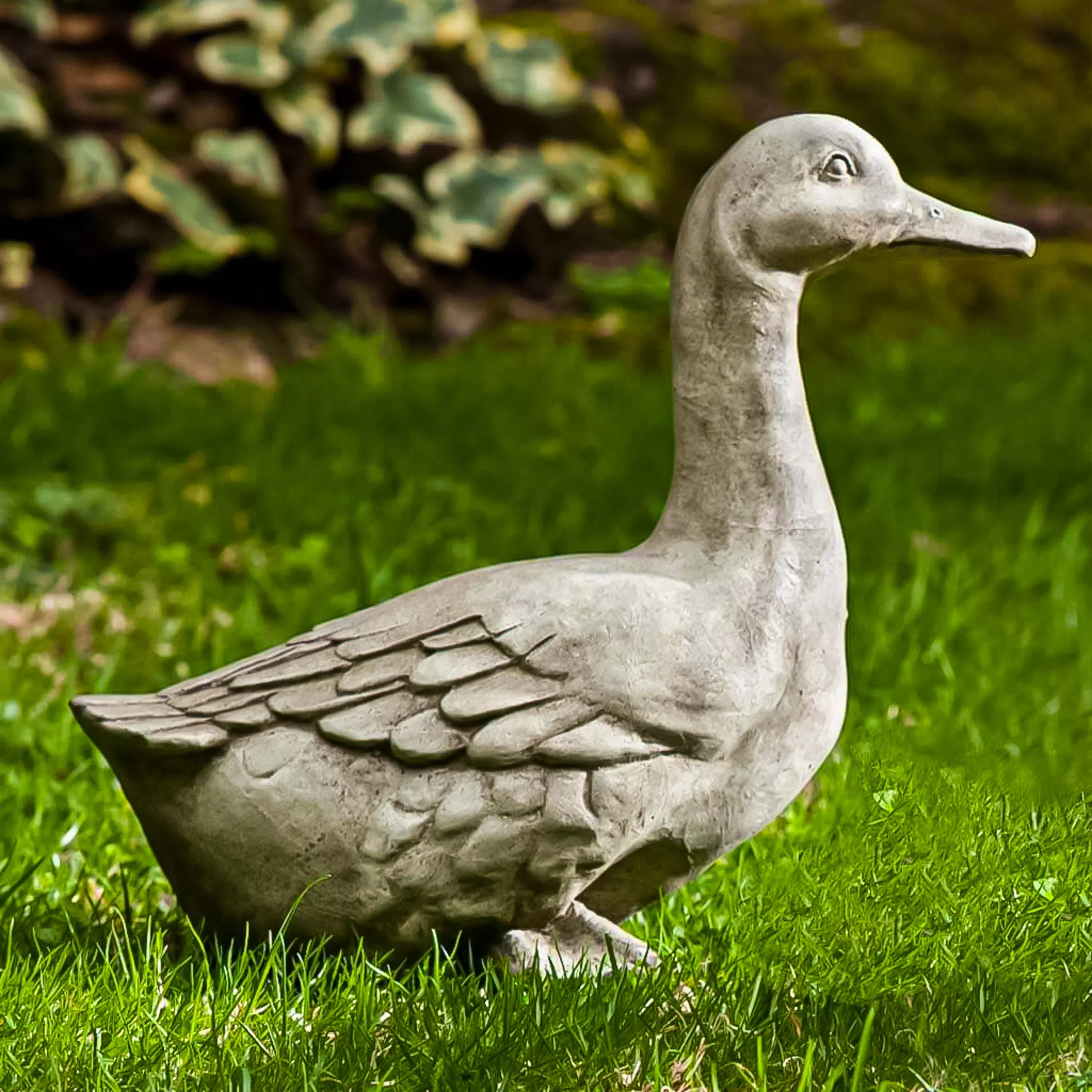 Quackers Garden Statue