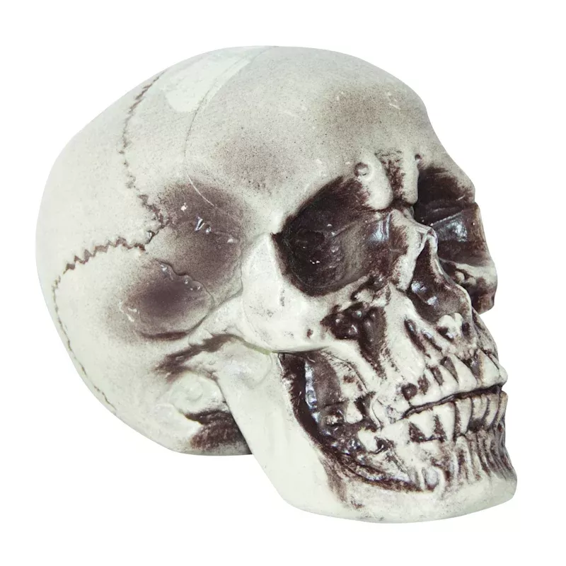 Realistic Foam Halloween Skull, 7"