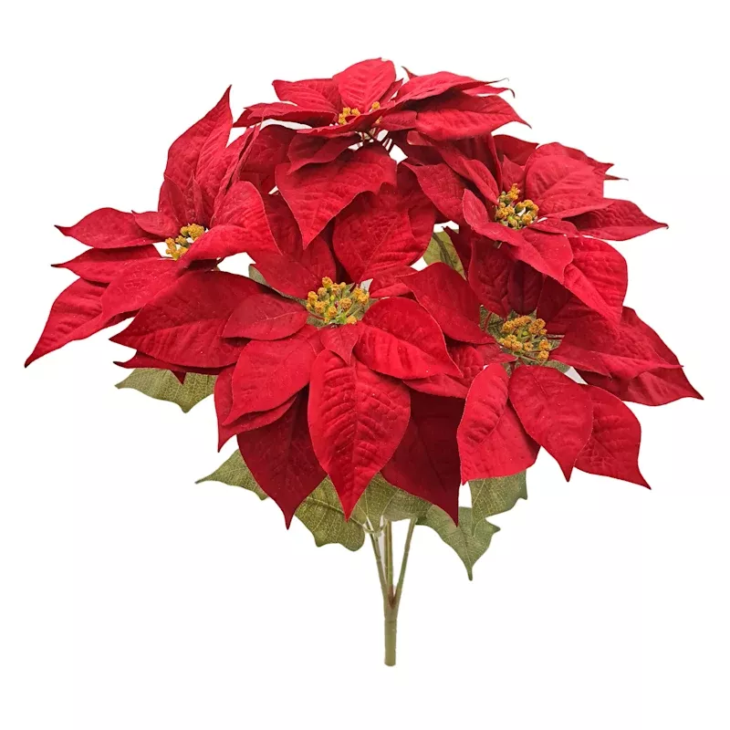 Red Poinsettia Bush, 20"