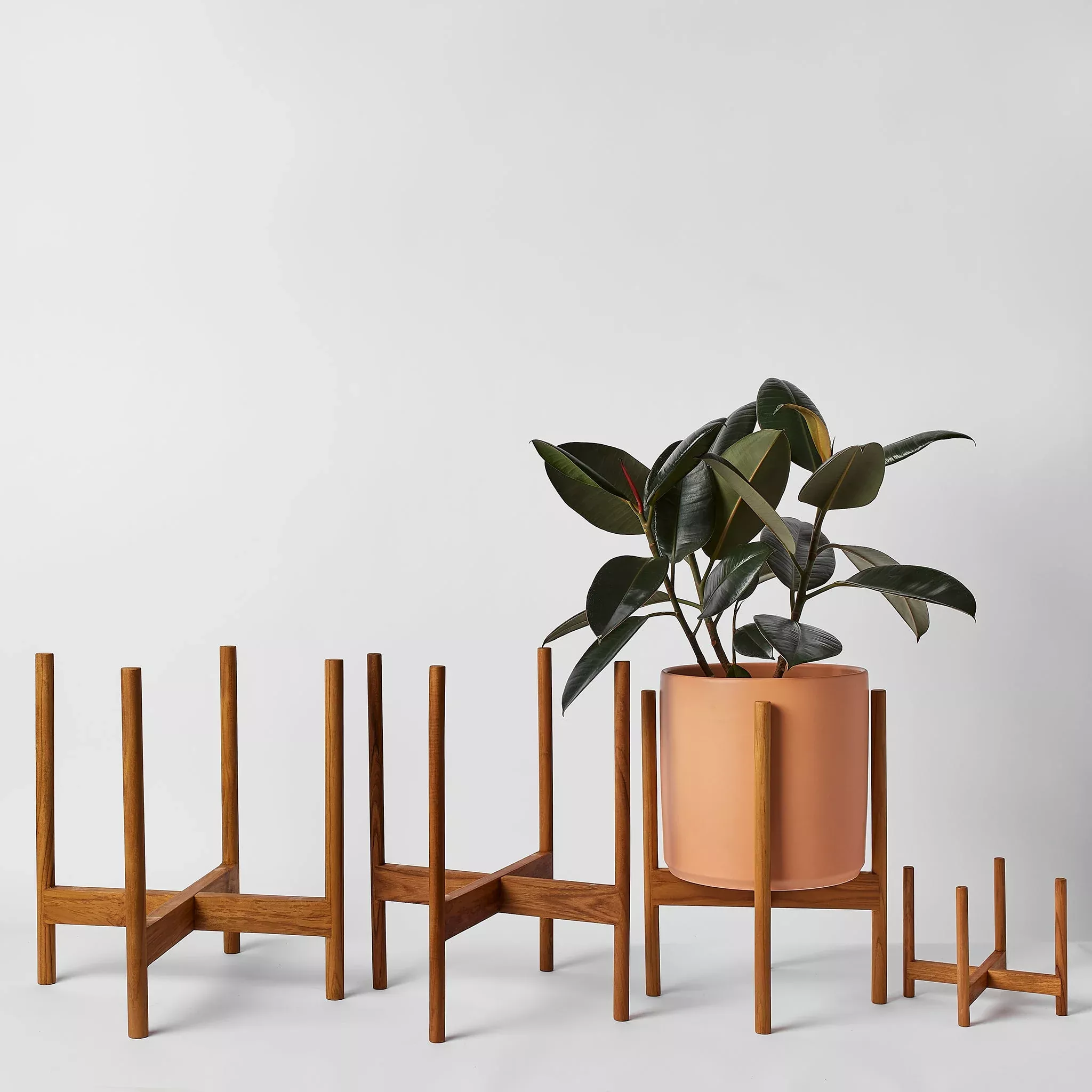 Rounded Hardwood Plant Stand
