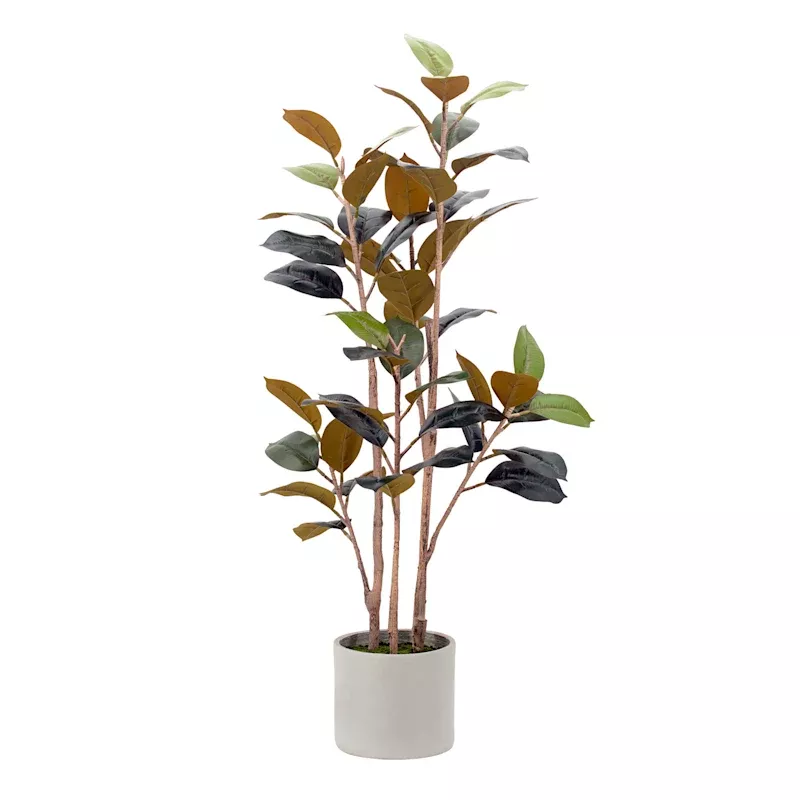 Rubber Tree in Grey Vessel, 48"