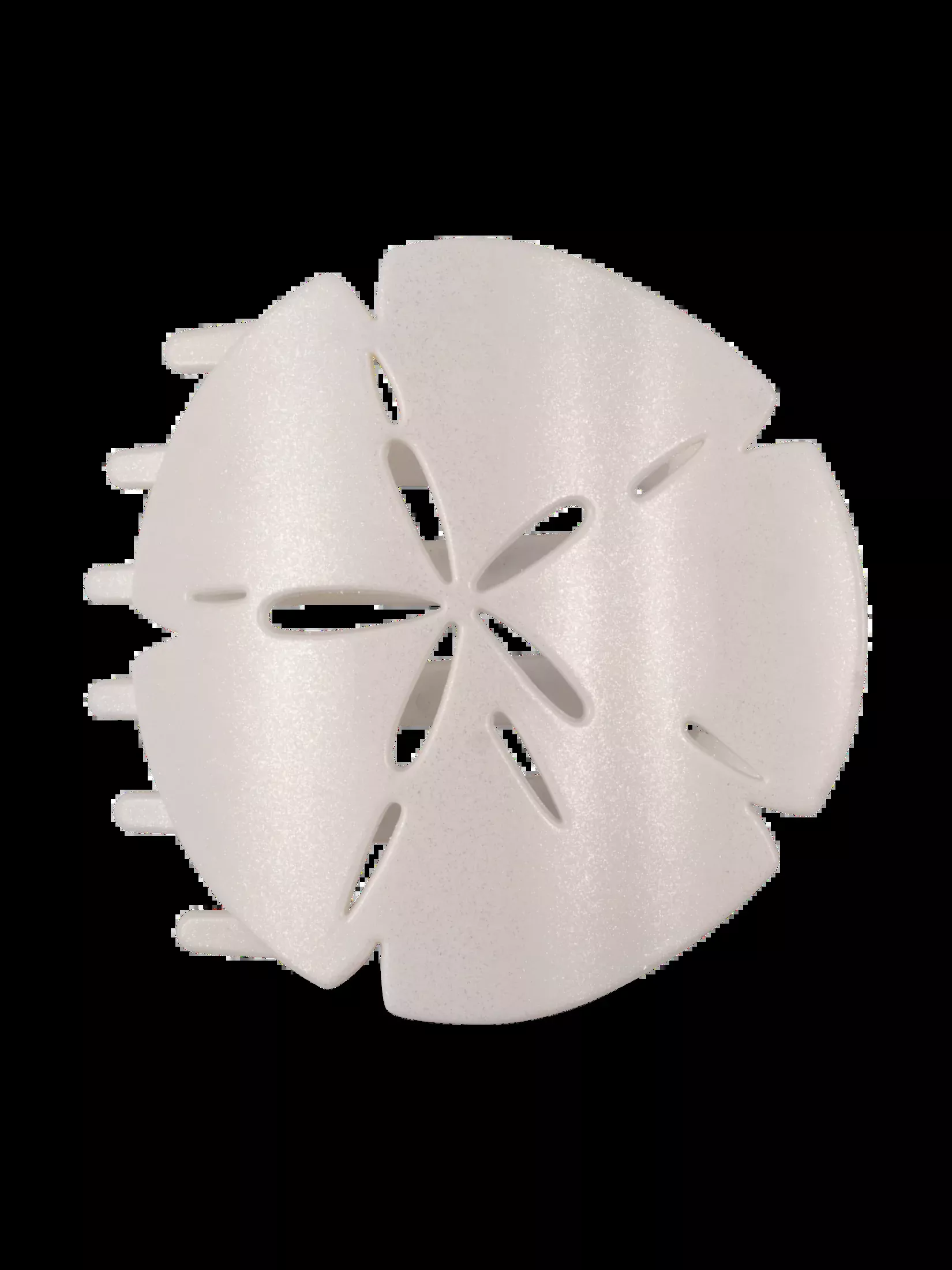 Sand Dollar | Large | Flat Shape Hair Clip