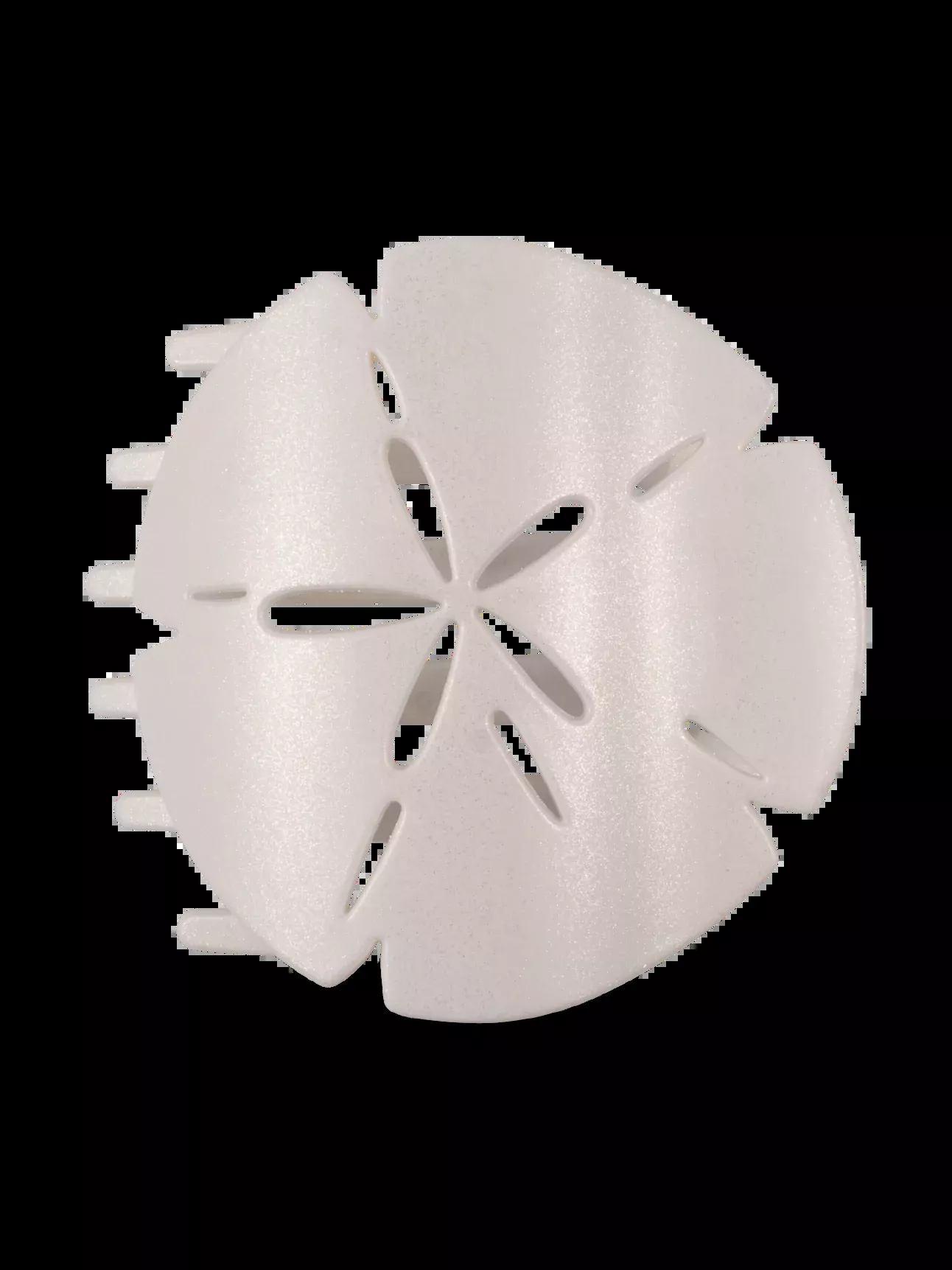 Sand Dollar | Medium | Flat Shape Hair Clip