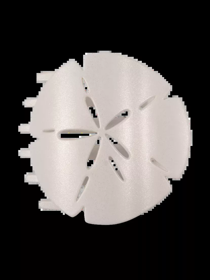 Sand Dollar | Small | Flat Shape Hair Clip