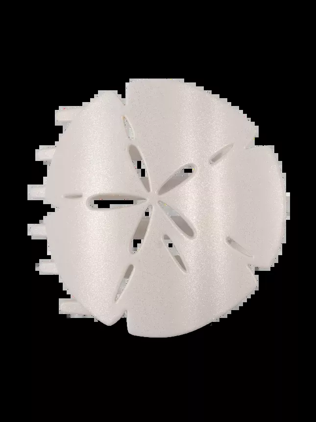 Sand Dollar | Tiny | Flat Shape Hair Clip