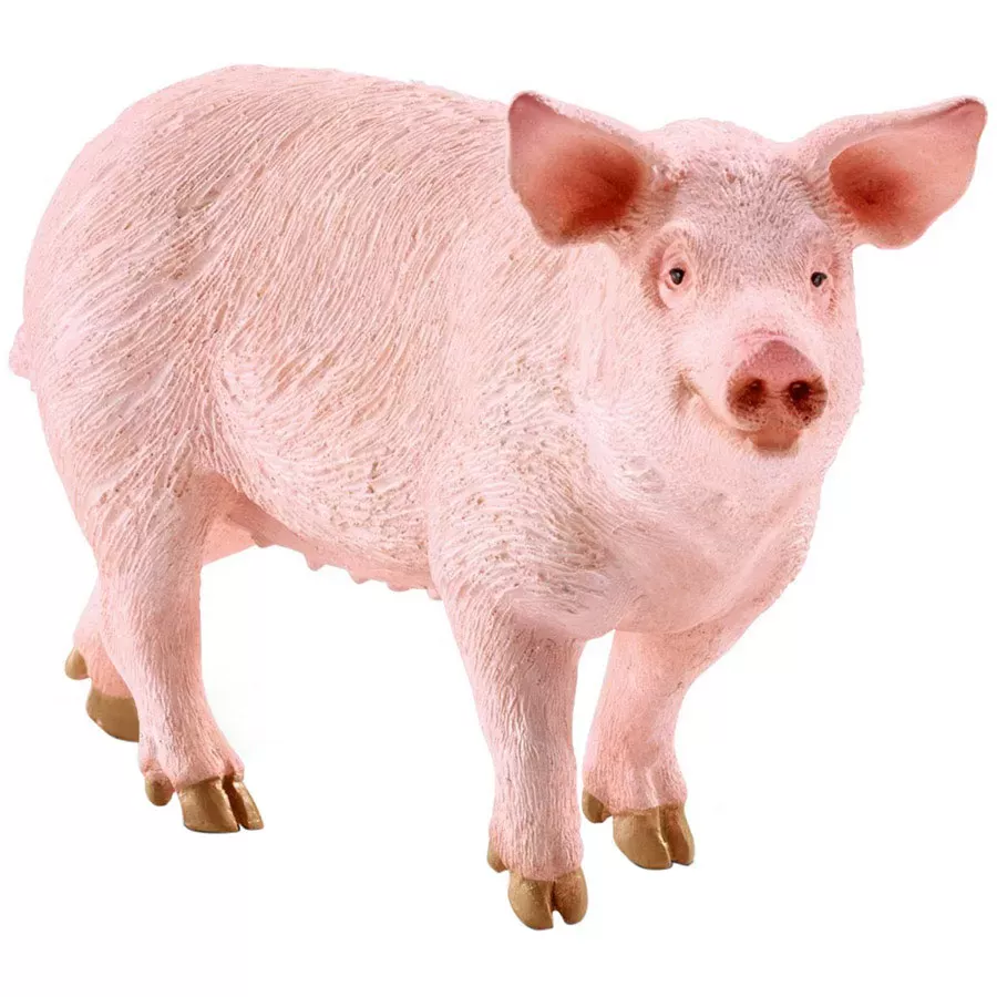 Schleich Pig