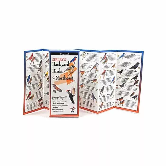 Sibleys Backyard Birds-NE Card