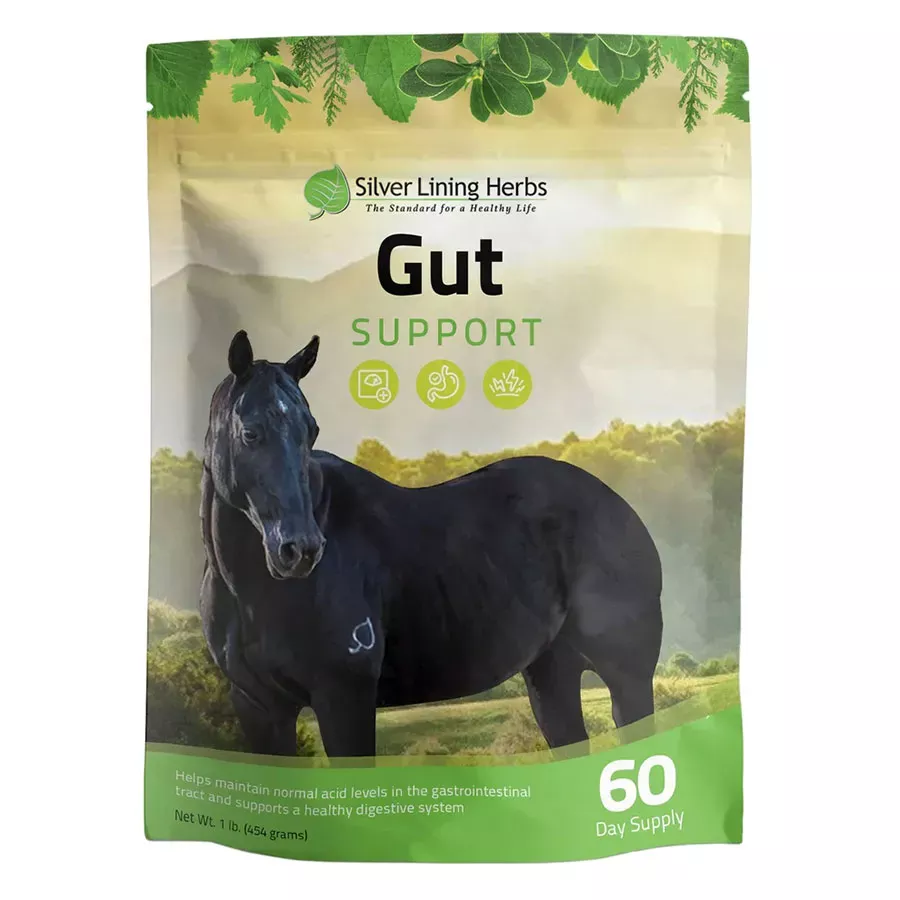 Silver Lining Herbs Gut Support for Horses