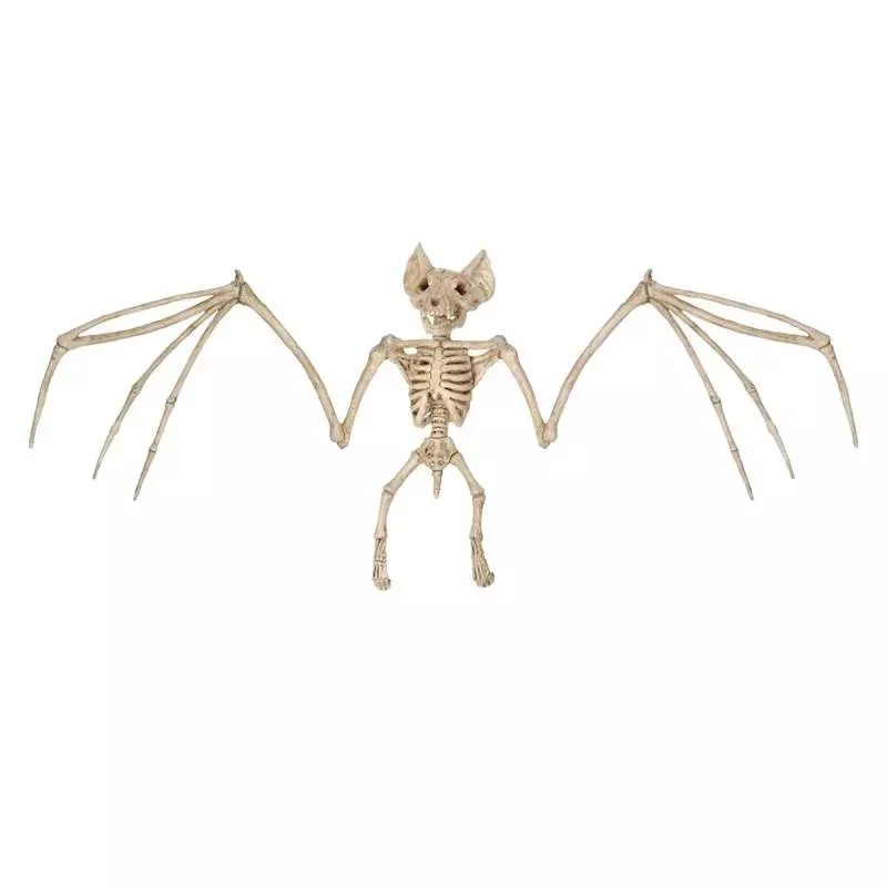 Small Halloween Bat Skeleton