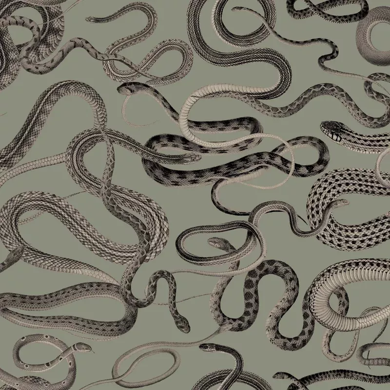 Snakes On A Plane Sage Wallpaper