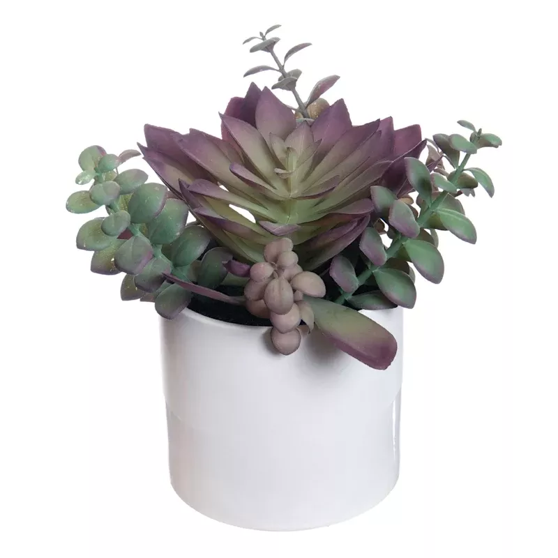 Succulent Mix with White Planter, 9"
