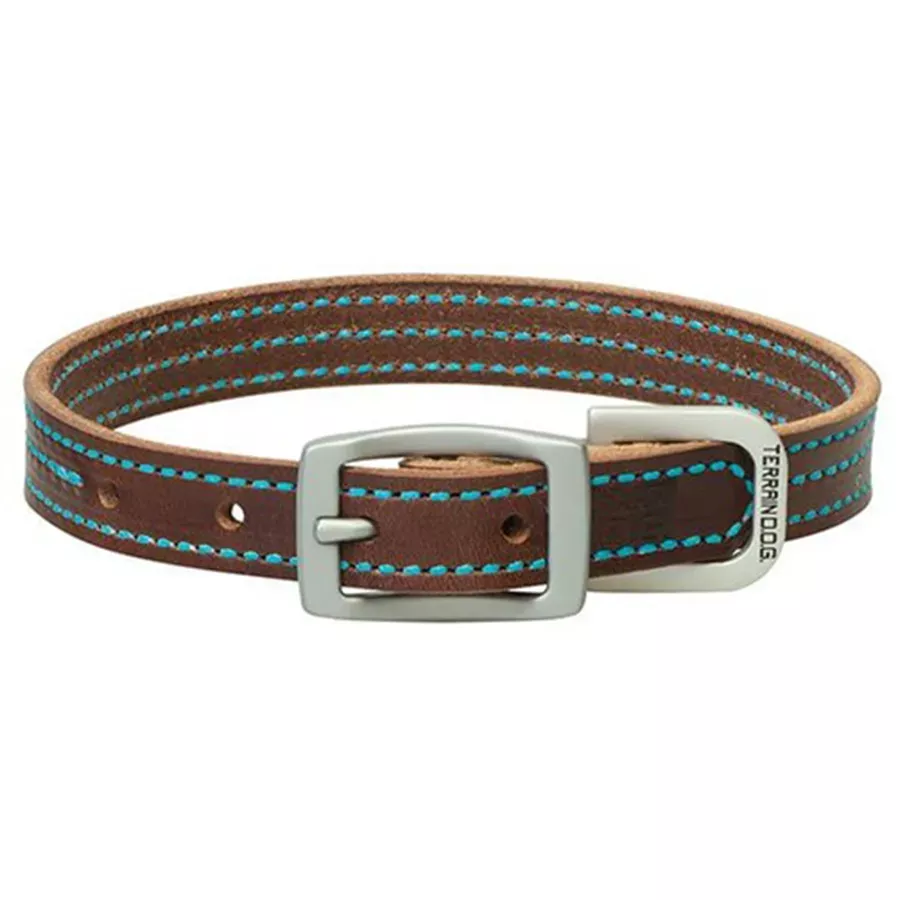 Terrain D.O.G. Leather Collar w/ Colored Stitching
