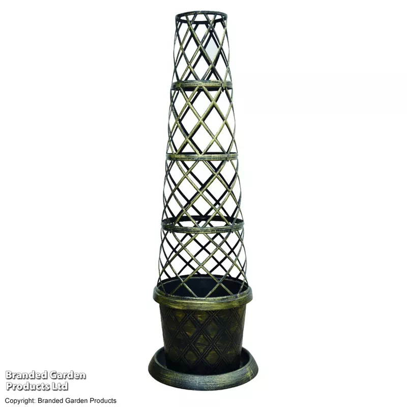 Thompson & Morgan Black & Gold Tower Pot