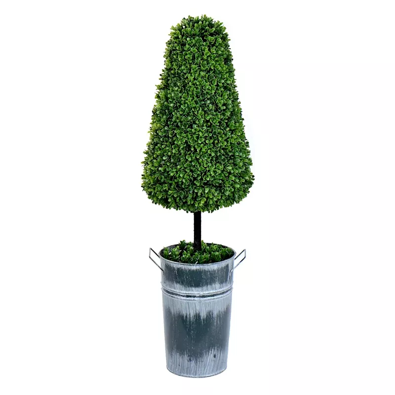 Topiary Cone Boxwood, 37"