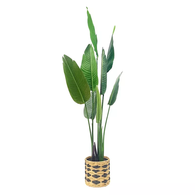Tropical Plant in Basket, 60"