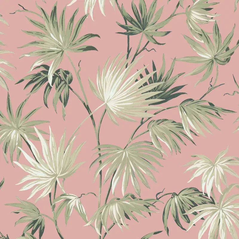 Va Va Frome Powder Pink Wallpaper