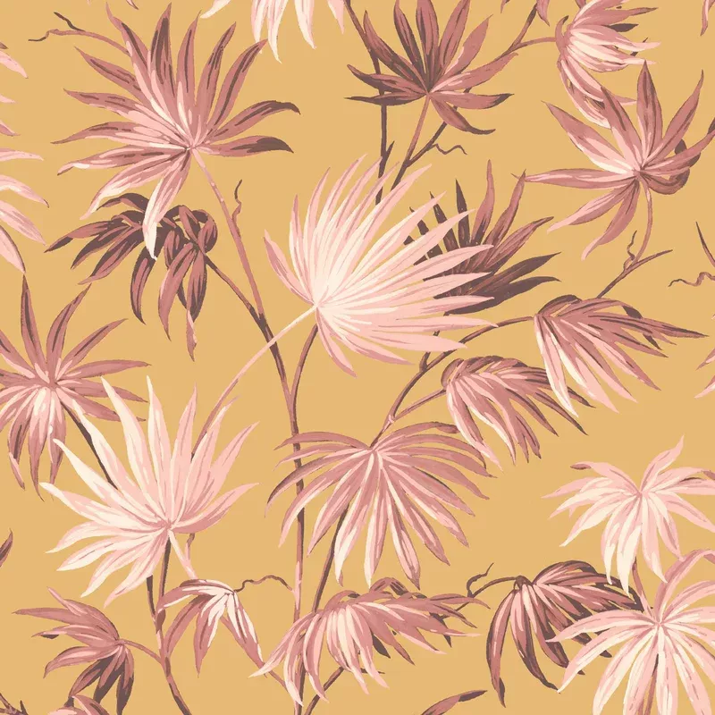 Va Va Frome Sunset Wallpaper